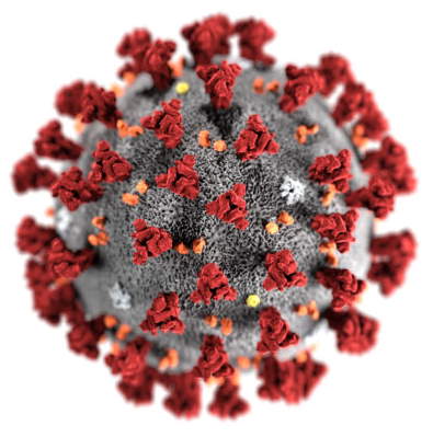 covid19 virus2