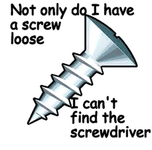not only do i have a screw loose cant find 5404385